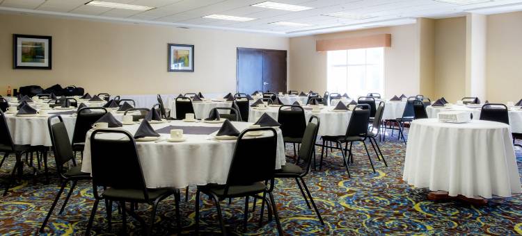 智选假日套房酒店埃德蒙顿国际机场(Holiday Inn Express & Suites EDMONTON-INTERNATIONAL AIRPORT by IHG)图片