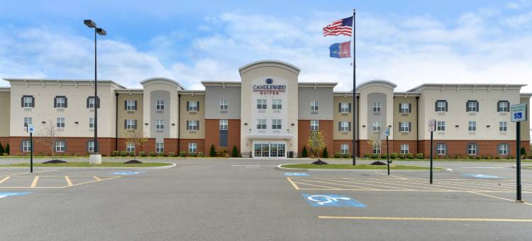 Candlewood Suites 埃尔迈拉(马头)(Candlewood Suites HORSEHEADS - ELMIRA by IHG)图片