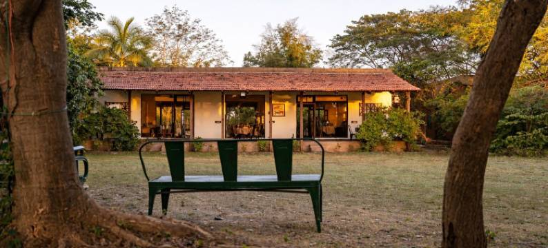 马胡阿托拉塔多巴(Mahua Tola Tadoba)图片