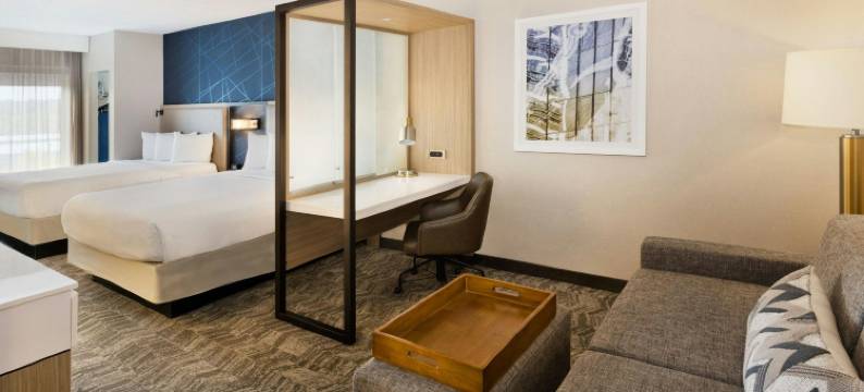 伯明翰科罗内德／格兰德维尤万豪SpringHill酒店(SpringHill Suites Birmingham Colonnade/Grandview)图片