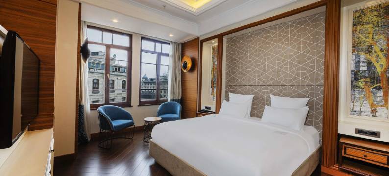 伊斯坦布尔斯克西美居酒店(Mercure Istanbul Sirkeci)图片