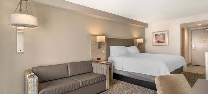 诺克斯维尔北米尔钱特大道假日酒店(Holiday Inn KNOXVILLE N - MERCHANT DRIVE by IHG)图片