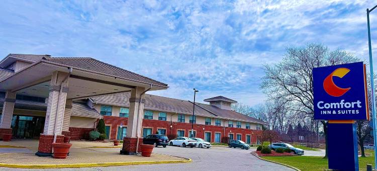 舒适酒店及套房大使桥(Comfort Inn & Suites Ambassador Bridge)图片