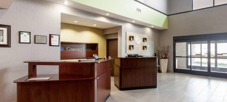 格林维尔舒适套房酒店(Comfort Suites Greenville)图片