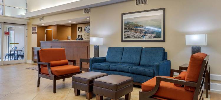 加斯托尼亚-夏洛特舒适套房酒店(Comfort Suites Gastonia - Charlotte)图片