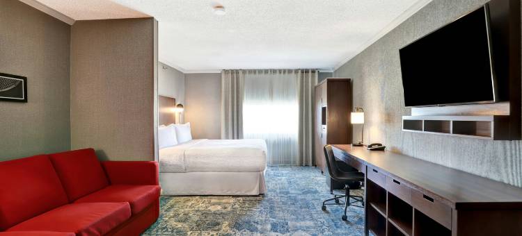 多伦多密西沙加福朋喜来登酒店(Four Points by Sheraton Toronto Mississauga)图片