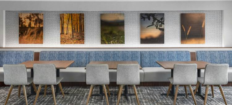 卡尔霍恩万枫酒店及套房(Fairfield Inn & Suites Calhoun)图片