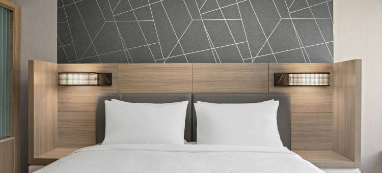 拉马祖港口春希尔套房酒店(SpringHill Suites Kalamazoo Portage)图片