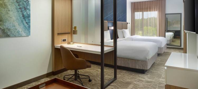 艾利嘉SpringHill Suites酒店(SpringHill Suites Ellijay)图片