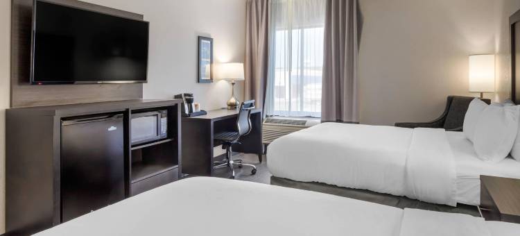 格里尔-格林维尔机场舒适套房酒店(Comfort Inn & Suites Greer - Greenville)图片