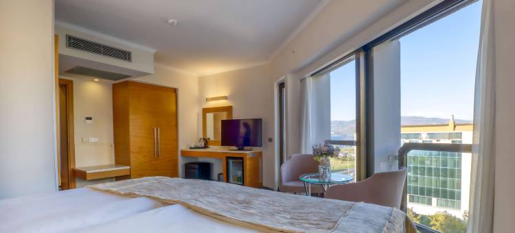 科纳克贝斯特韦斯特优质酒店(Best Western Plus Hotel Konak)图片