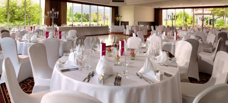 海德堡万豪酒店(Heidelberg Marriott Hotel)图片