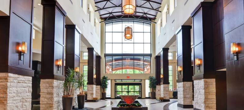 萨凡纳机场希尔顿安泊酒店(Embassy Suites by Hilton Savannah Airport)图片