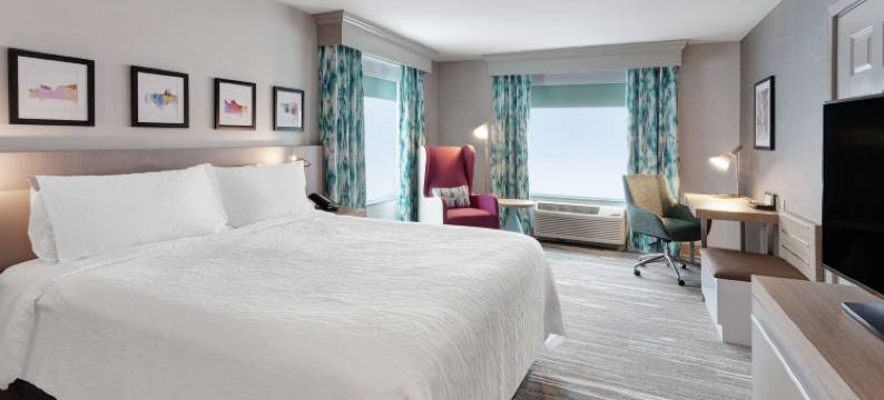 芝加哥北岸/埃文斯顿希尔顿花园酒店(Hilton Garden Inn Chicago North Shore/Evanston)图片