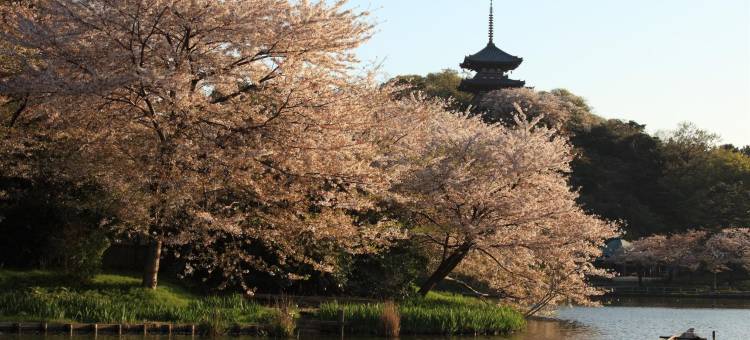 横滨西Four Points Flex by Sheraton酒店(Four Points Flex by Sheraton Yokohama West)图片