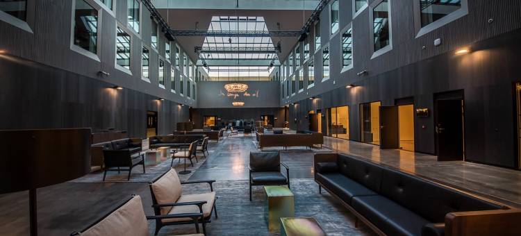 号角空气酒店(Clarion Hotel Air)图片