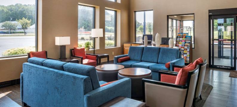 哈黑格斯敦东南的舒适套房酒店(Comfort Suites)图片