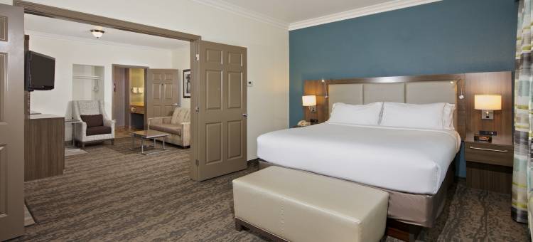 智选假日套房酒店帕索罗布尔斯的(Holiday Inn Express & Suites Paso Robles)图片