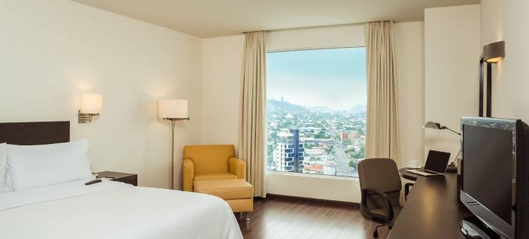 蒙特雷泰科诺嘉年华酒店(Fiesta Inn Monterrey Tecnologico)图片