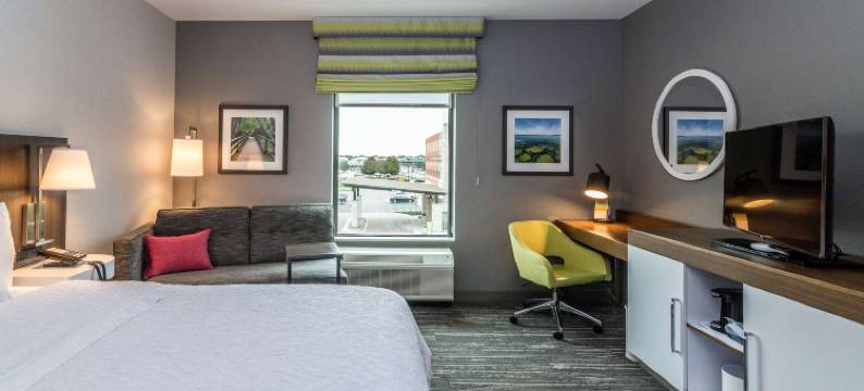 艾伦公园欢朋套房酒店(Hampton Inn & Suites Detroit/Allen Park)图片