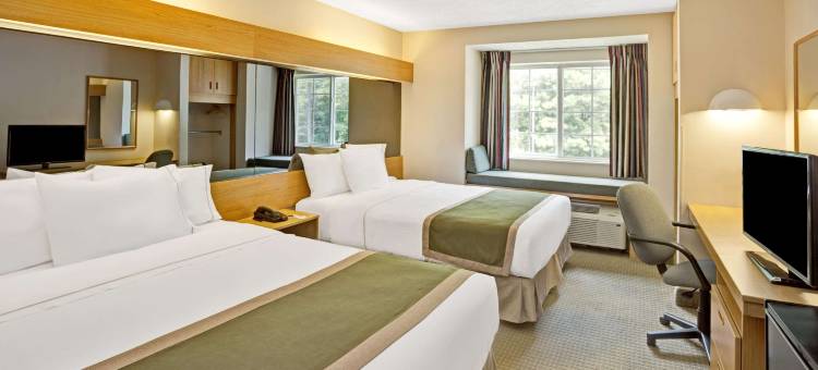 Microtel Inn & Suites by Wyndham Raleigh Durham Airport图片