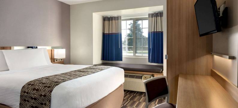 巴吞鲁日温德姆麦客达套房酒店(Microtel Inn & Suites by Wyndham Baton Rouge)图片