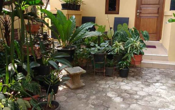 Comfortable Room Near Margocity Depok (P21) Hotel Overview