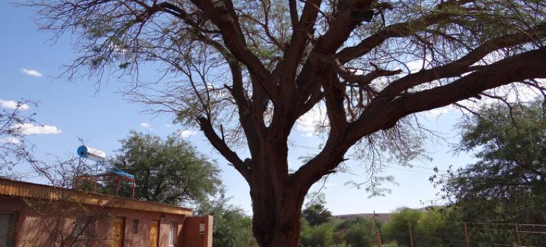 因蒂和基拉旅馆(Inti & Killa Hostal)图片