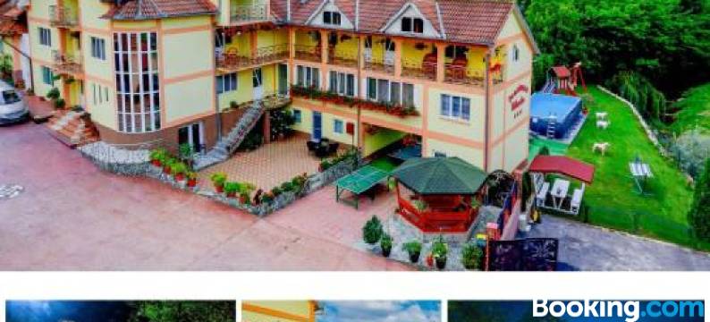 Pensiunea Mihaela-Transalpina图片