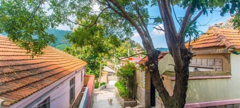 崂山小瑶度假别墅图片