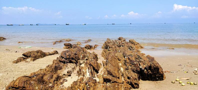 灵谷鱼道客栈(太傅大道东1号分店)图片