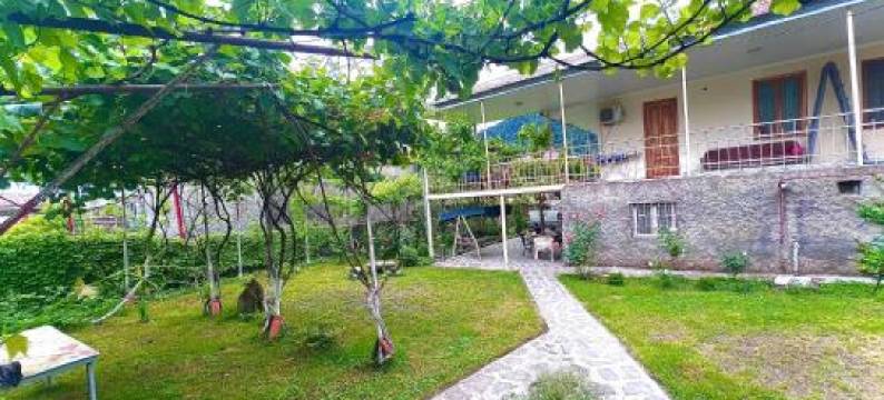 Mountain Home Inn-Guesthouse图片