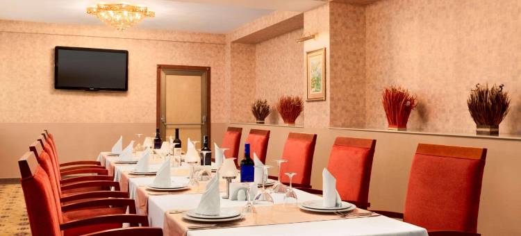 让斯温德姆华美达广场酒店(Ramada Plaza by Wyndham Gence)图片