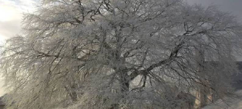 索伦之家旅馆(Surrone House - Guest House)图片