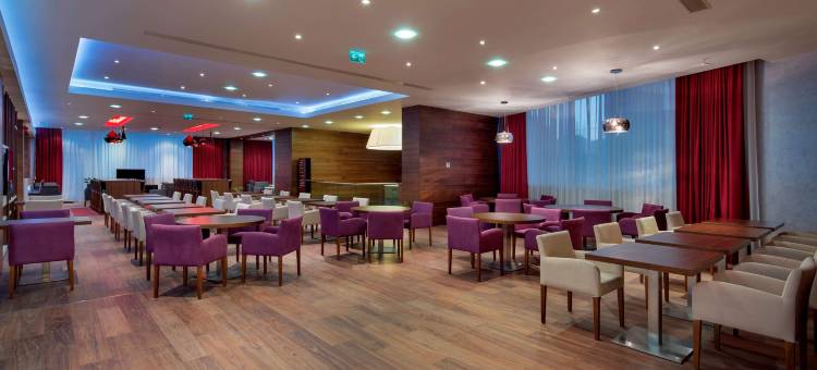 卡亚什尔希尔顿欢朋酒店(Hampton by Hilton Istanbul Kayasehir)图片