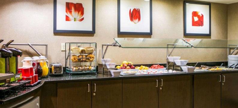 阿普尔顿坎布里亚酒店(Cambria Hotel Appleton)图片