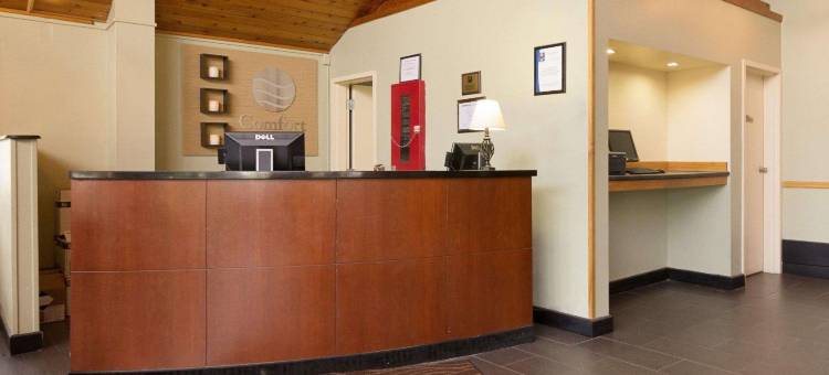 舒适酒店及套房锡拉丘兹-凯瑞尔圈(Comfort Inn & Suites Syracuse-Carrier Circle)图片