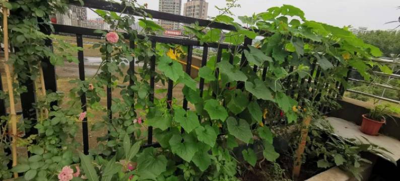 未见山民宿图片