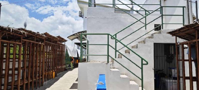 熊猫叔叔潜水旅馆(Uncle Panda Diving & Lounge)图片