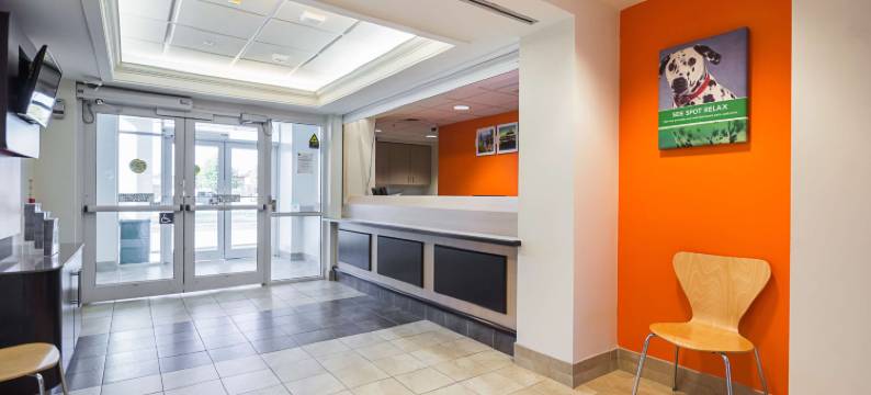 莫特尔6号汽车旅馆 - 多伦多东 - 惠特比(Motel 6 Whitby, on - Toronto East)图片