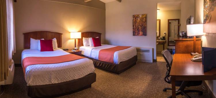 大学贝斯特韦斯特酒店(Best Western University Inn)图片