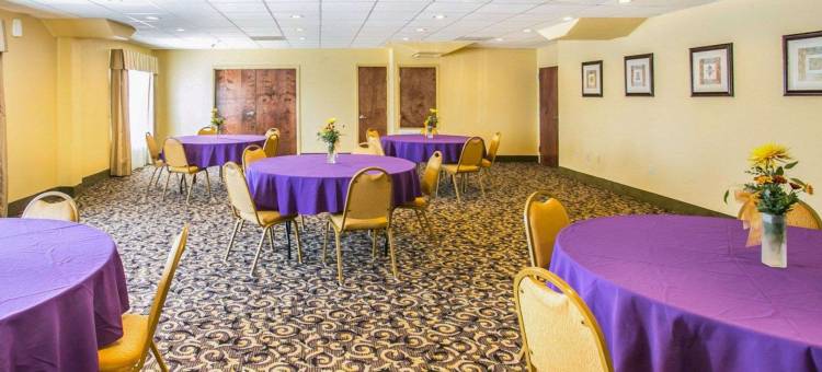 近棕榈州立公园的冈萨雷斯舒眠酒店及套房(Sleep Inn & Suites Near Palmetto State Park)图片