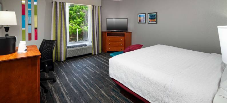 欢朋酒店及套房-莫比尔I-65机场大道(Hampton Inn & Suites Mobile I-65 @ Airport Blvd.)图片