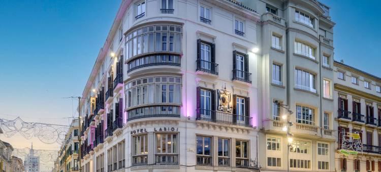 室友拉里奥斯住宿(Hotel Larios Málaga)图片