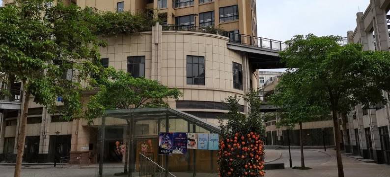 handsome黄公寓(德政街分店)图片