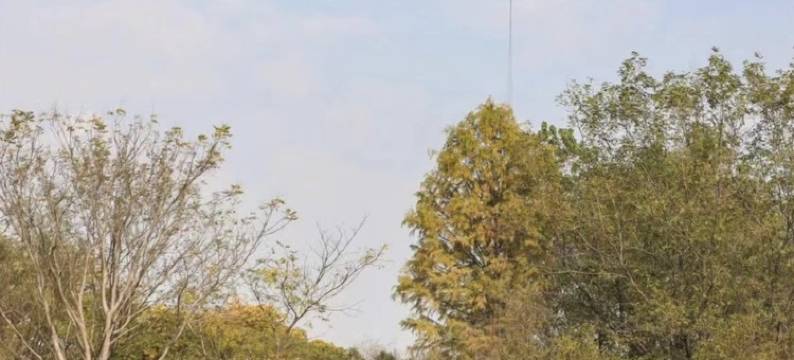 法桐公寓(汀目路分店)图片