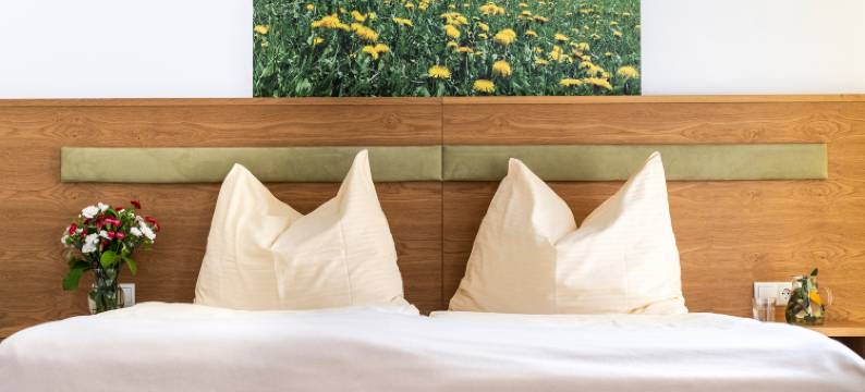 加斯特伍德夏夫特霍尔德酒店(Gastwirtschaft Hold)图片