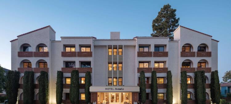 阿万特酒店 - Hyatt尚选(Hotel Avante, A Jdv by Hyatt Hotel)图片