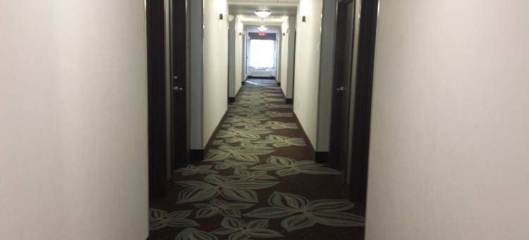 恩波里亚西北智选假日酒店及套房(Holiday Inn Express & Suites Emporia Northwest)图片