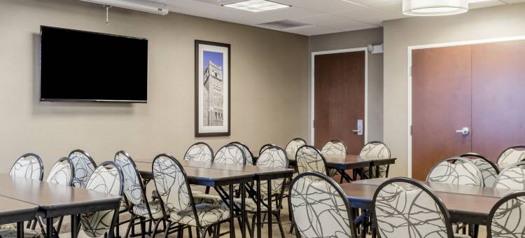 阿维拉西南舒适套房酒店(Comfort Inn & Suites Avera Southwest)图片